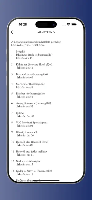 Belvárosi Zöldjárat screenshot 3