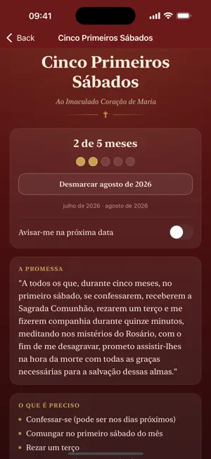 Meu Terço Diário screenshot 3
