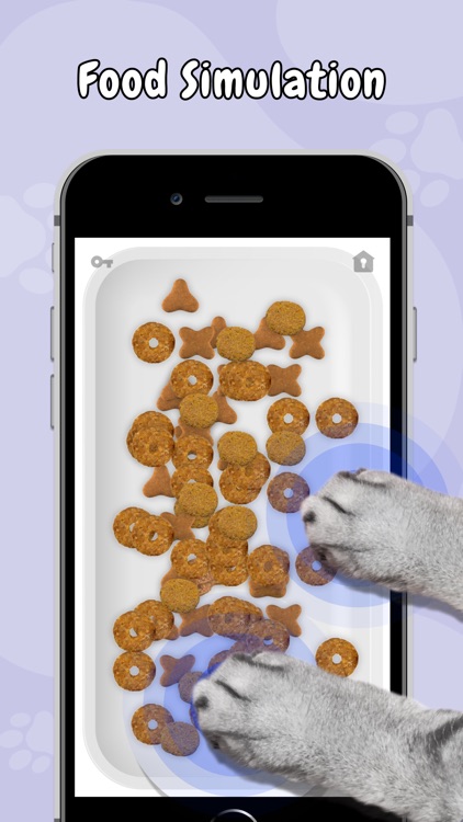 Test IQ Cat - Cat Toy