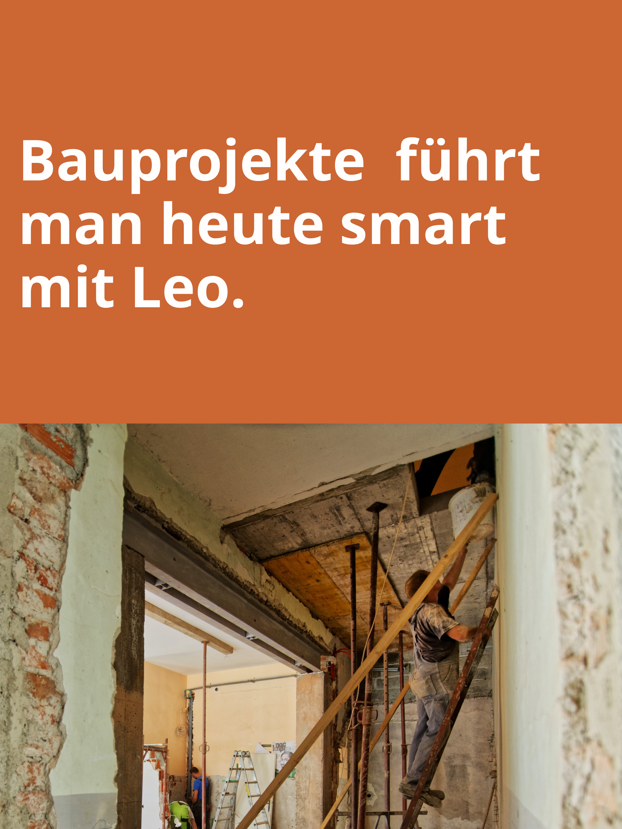 Leo Software screenshot 8