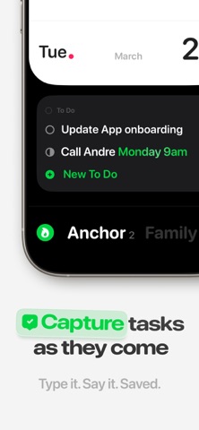 Anchor screenshot 2