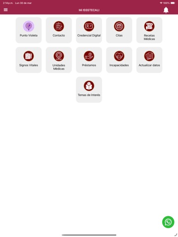 Mi ISSSTECALI iPad screenshot 1