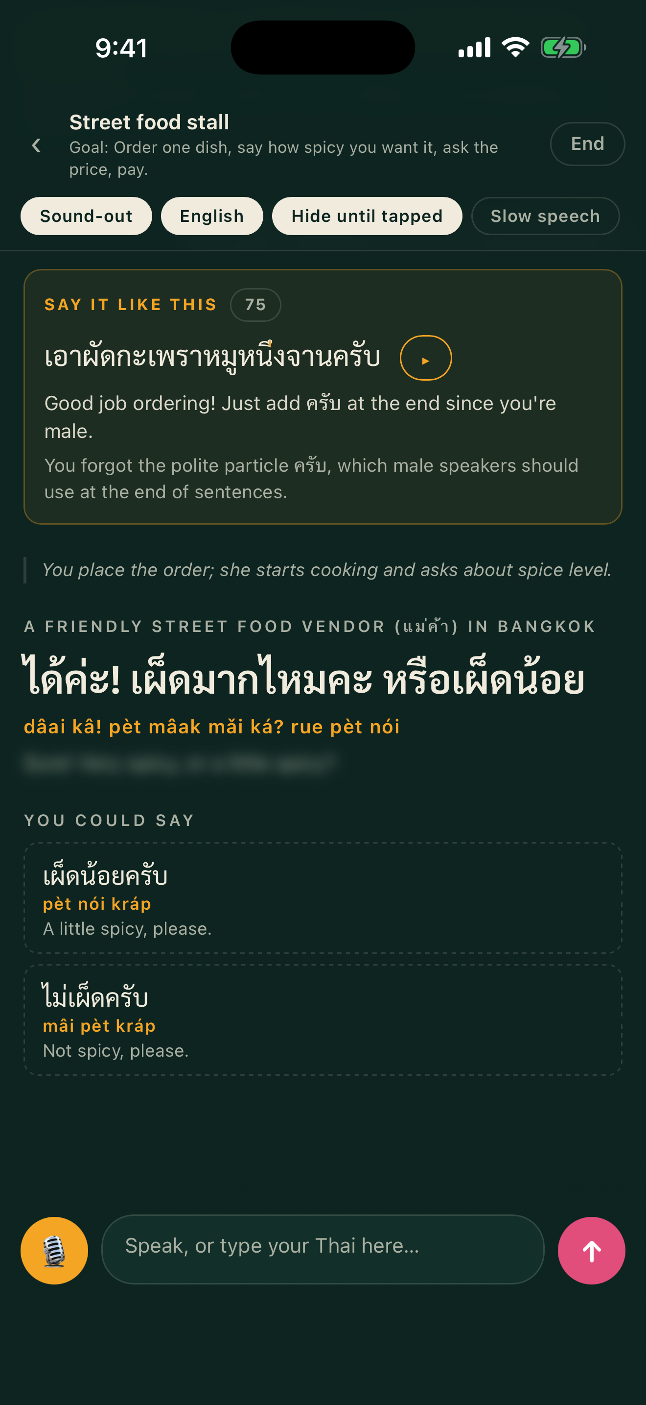 Khuu Sawm: Speak Thai screenshot 4