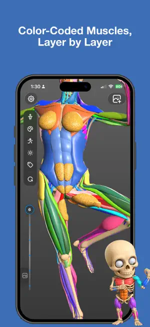 Art Anatomy screenshot 2