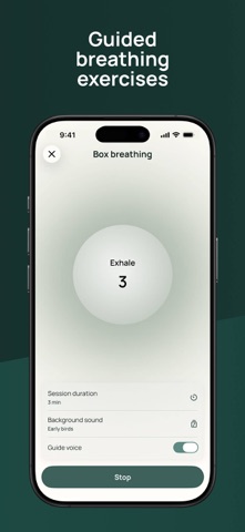 FreeMind: Relax and Reflect screenshot