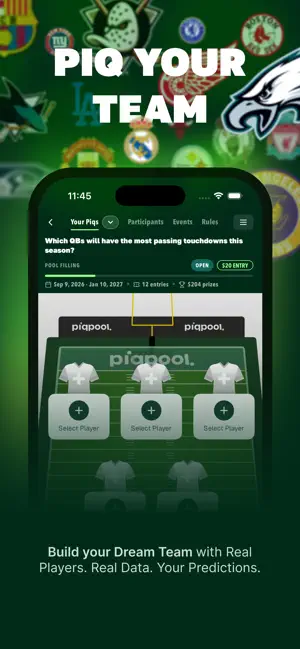 Piqpool screenshot 2