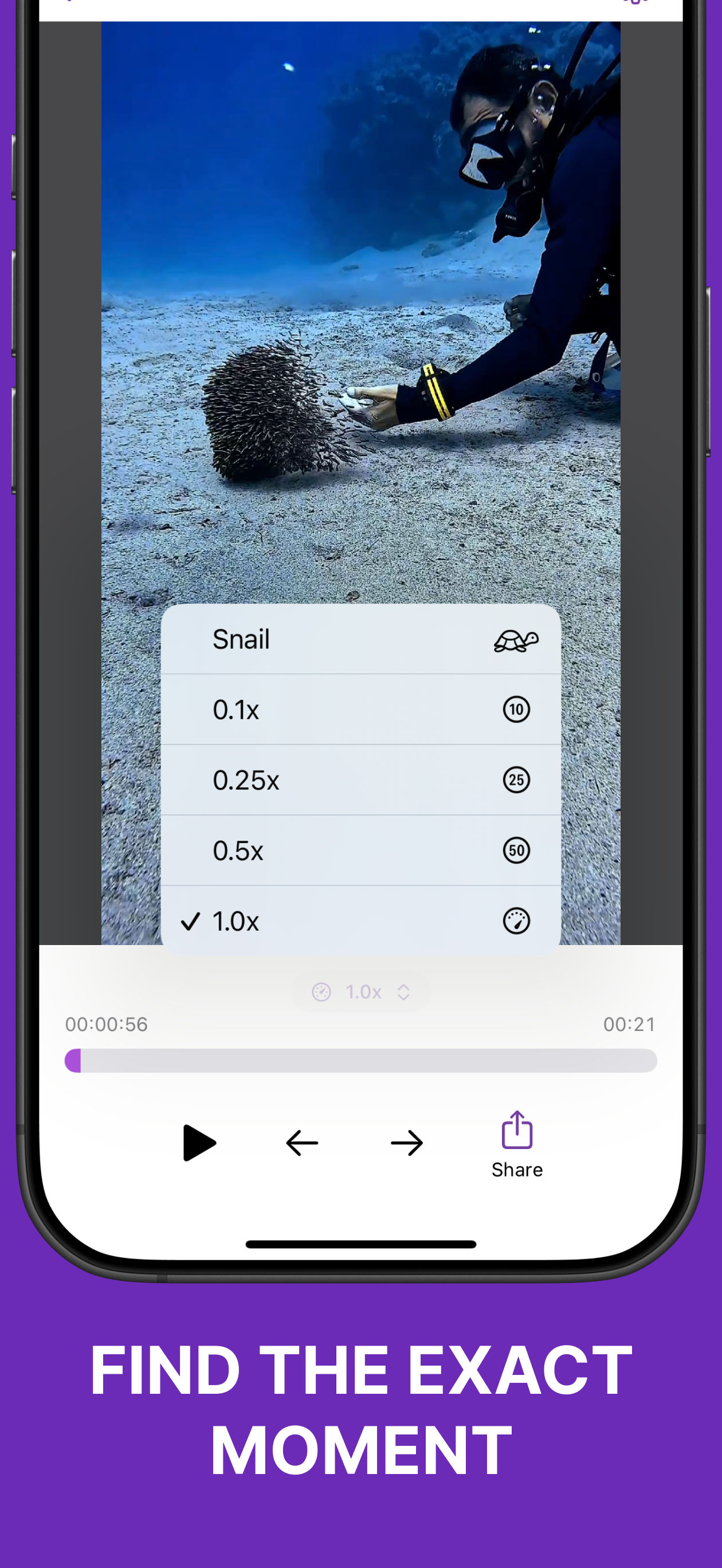 Frame Grabber – Video Snapshot screenshot 3