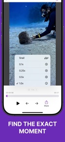 Frame Grabber – Video Snapshot screenshot