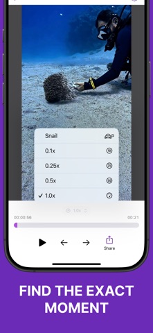 Frame Grabber – Video Snapshot Screenshot 3 of 5