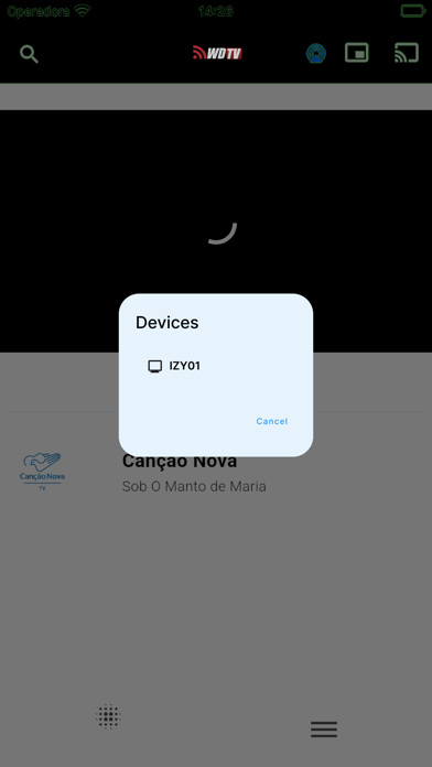 WD TV iPhone screenshot