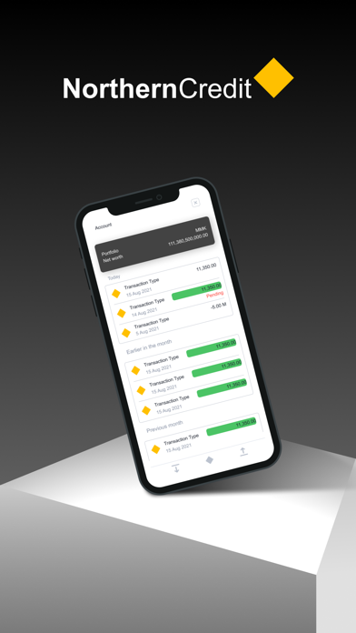 Northern Credit Screenshot