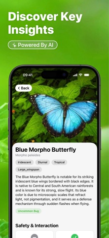 Insect Bug Identifier : Buzzy screenshot