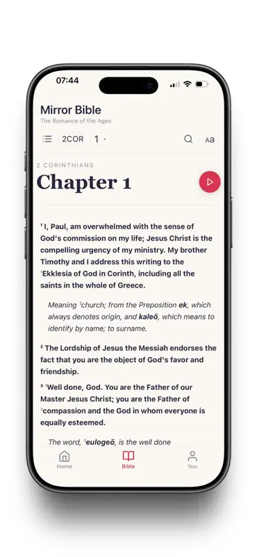 Mirror Study Bible screenshot 6 of 6