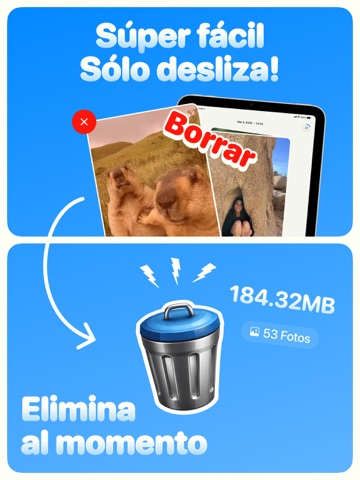 Favvy: Limpia tu galería iPad screenshot 2