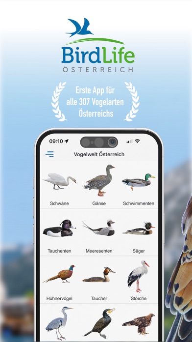 Vögel in Österreich Screenshot