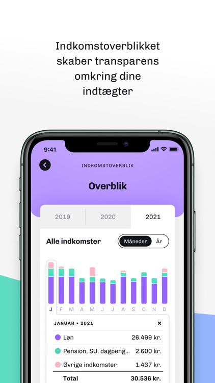 Skatteguiden screenshot-6