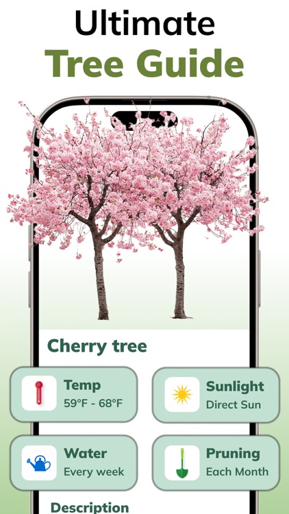 Tree Identification: ID Trees by DAMIEN, NATHANAEL ELLEDGE