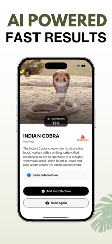 Snake Identifier - AI Scanner Screenshot 2 of 4