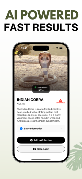 Snake Identifier - AI Scanner Screenshot 2 of 4