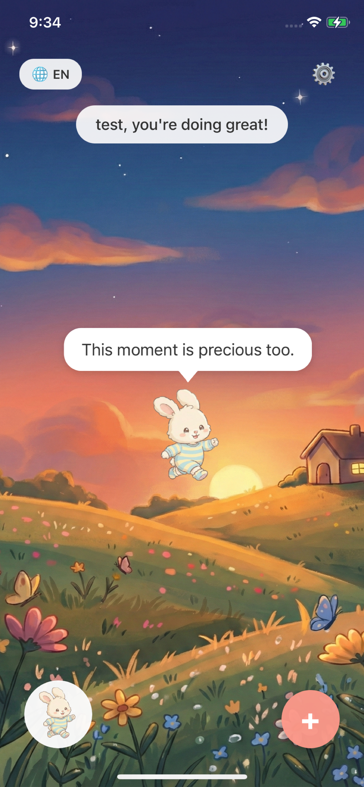 Comfort Pet