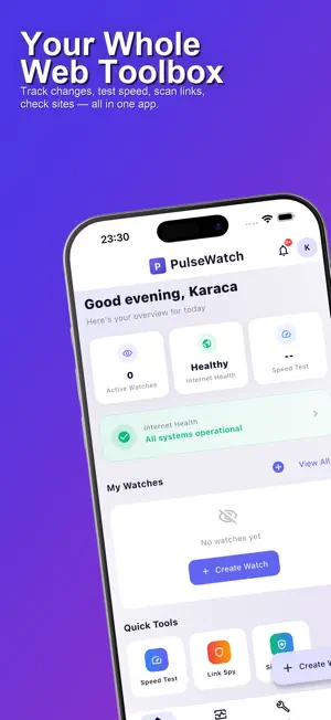 PulseWatch - Web Monitor screenshot 1