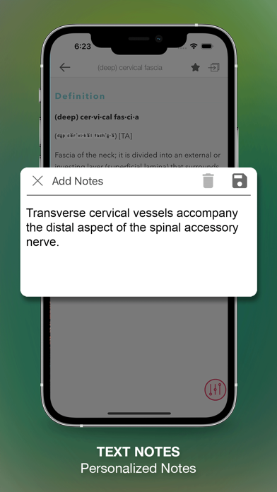 Stedman's Medical Dictionary N Screenshot