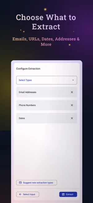 DataSieve: Text to Data screenshot 4