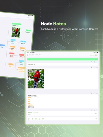 NodeNote-Mind Map & Flow Chart ipad screenshot 4