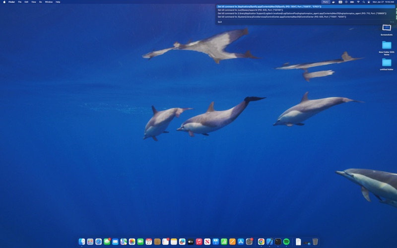 Port Killer screenshot 3