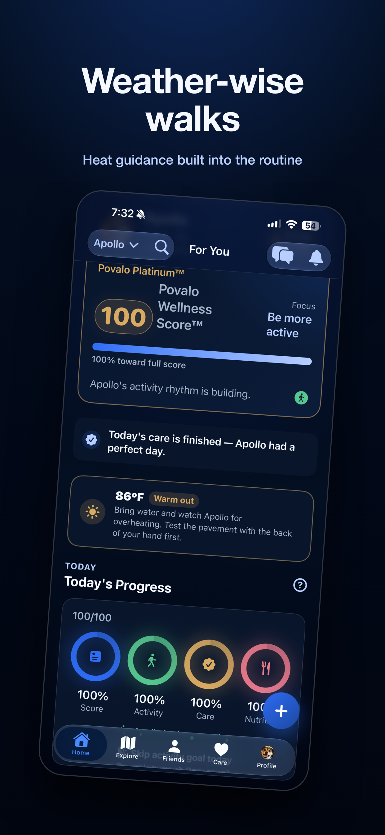 Povalo: Pet Wellness screenshot 4