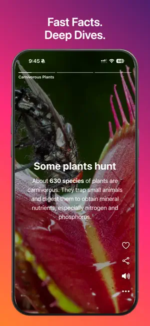 DeepSwipe: Knowledge Feed screenshot 1
