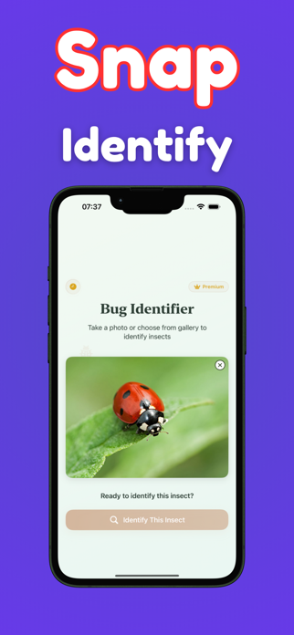 Bug Identifier: Bugsly Screenshot 1 of 3