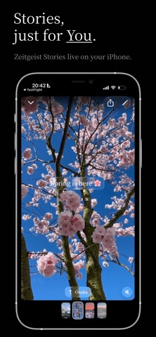 Zeitgeist - Stories, for You iPhone screenshot