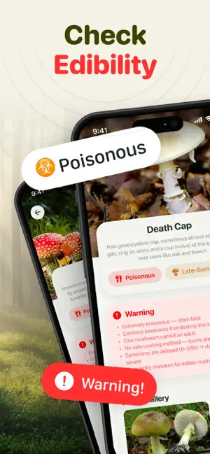 Mushroom Identifier. Guidebook screenshot 3