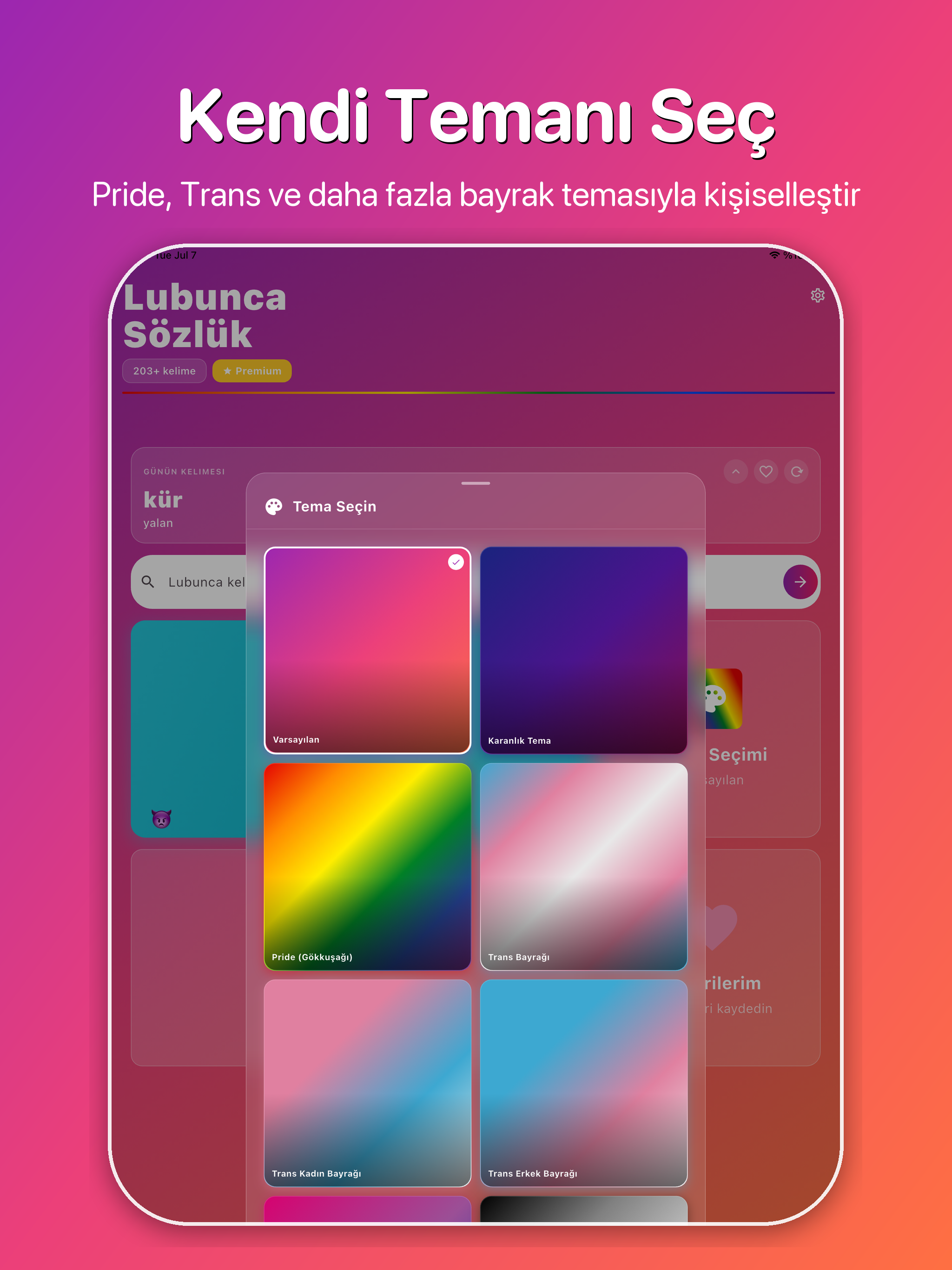 Lubunca Sözlük screenshot 9