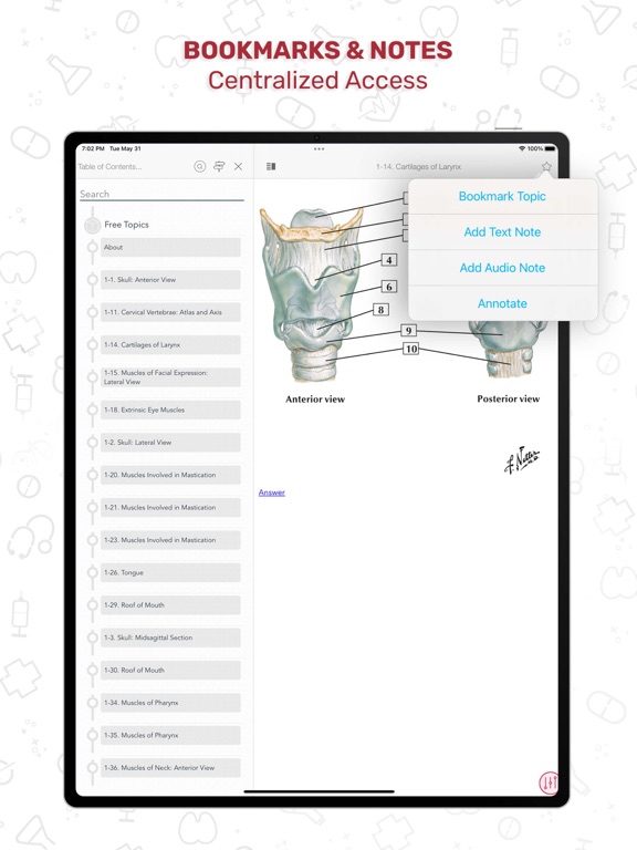 Netters Anatomy Flash Cards iPad screenshot 7 - Medical app