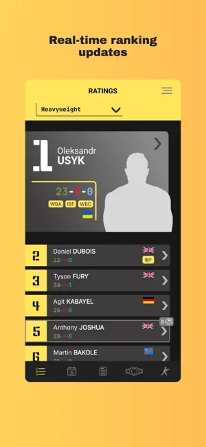 Rebokser screenshot 2