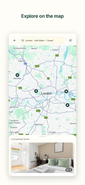 The Flex screenshot 2