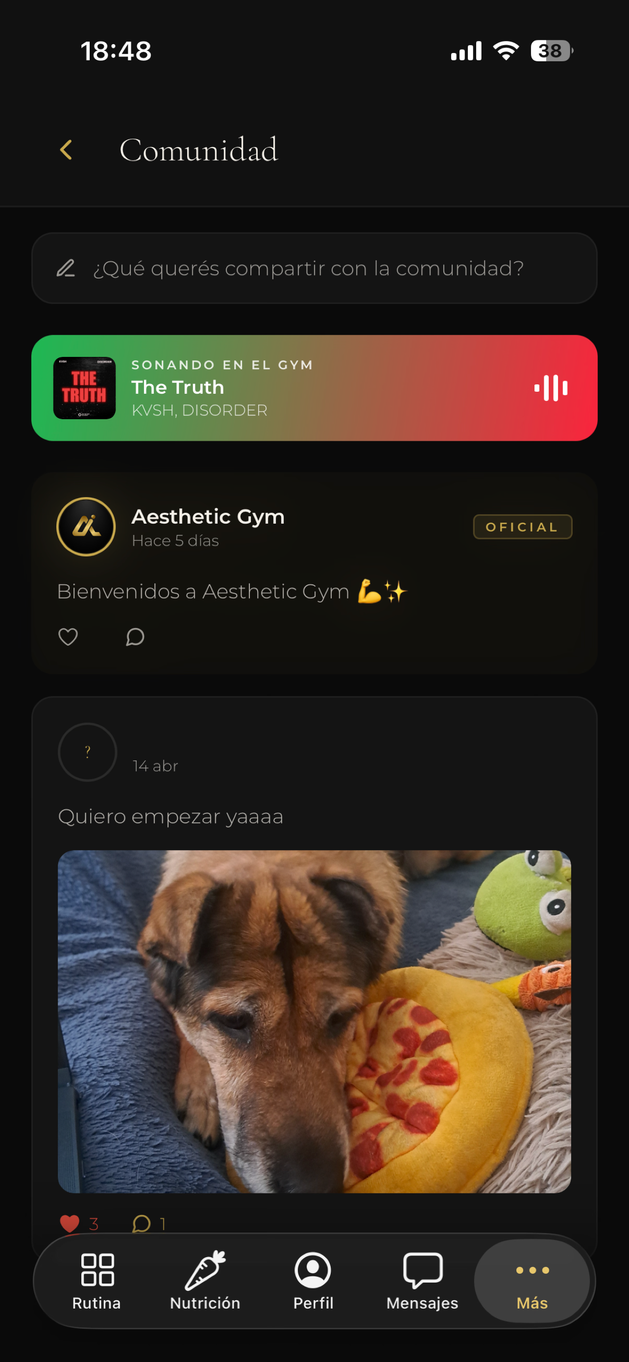 Aesthetic Gym App