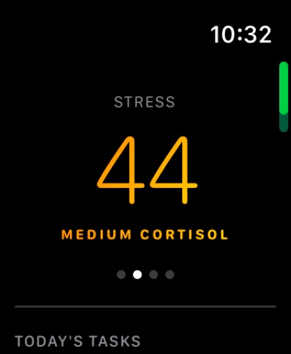 Apple Watch screenshot