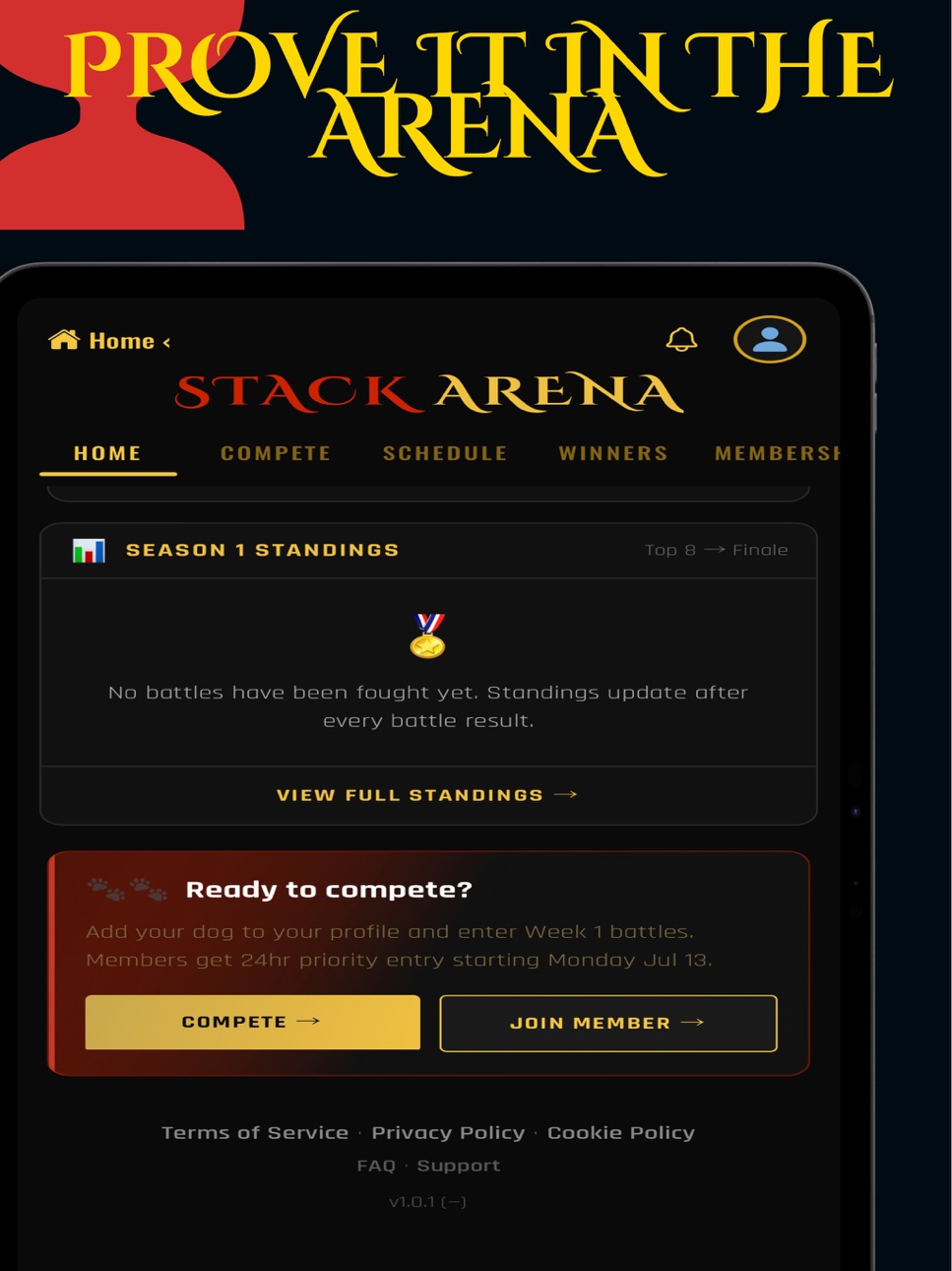 iPad screenshot