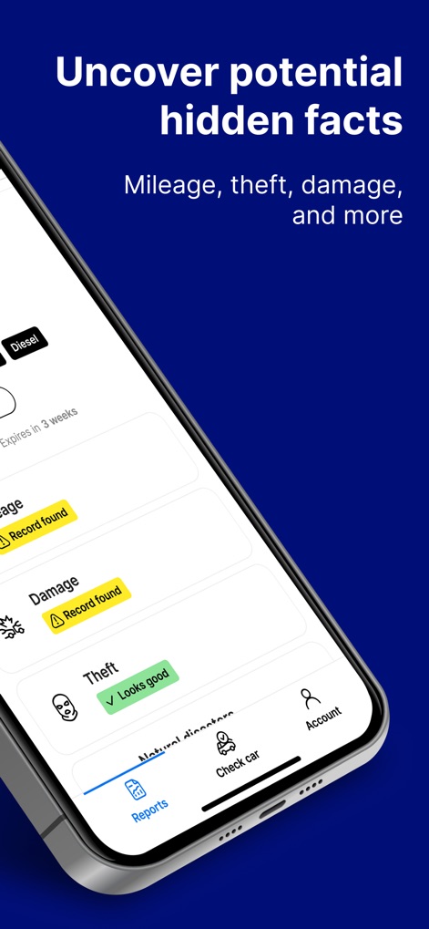carVertical: Check Car History - Users can quickly identify critical vehicle issues through the detailed report summary, highlighting "Damage" records and the "Theft" status with clear visual indicators.