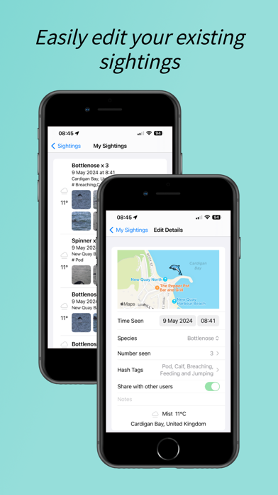 Dolphin Spotter Screenshot