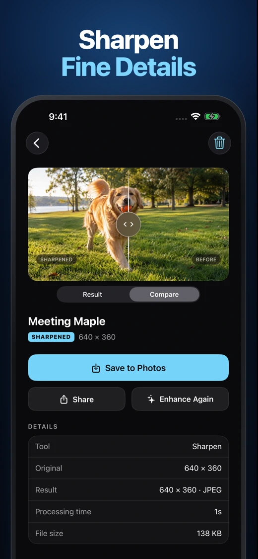 Local Photo Upscaler screenshot 4