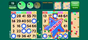 Bingo Deluxe screenshot #1 for iPhone