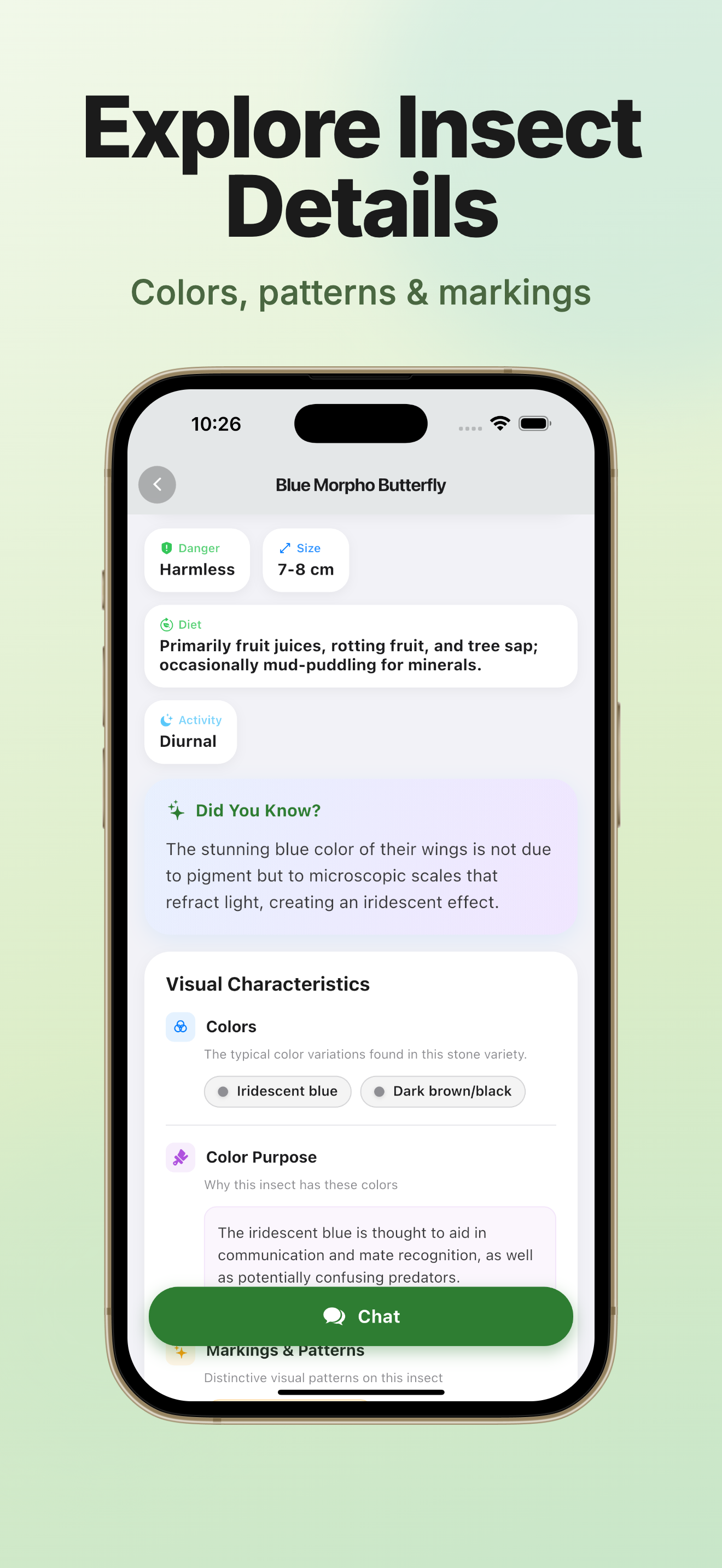 Insect Identifier - InsectKit screenshot 5