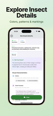 Insect Identifier - InsectKit screenshot