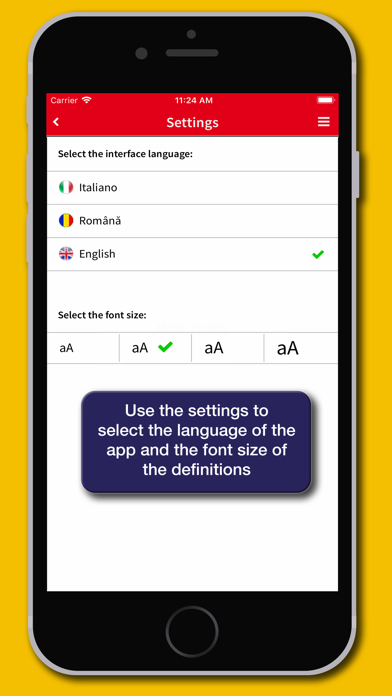 Romanian Dictionary Hoepli Screenshot