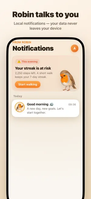 Fly Robin screenshot 4