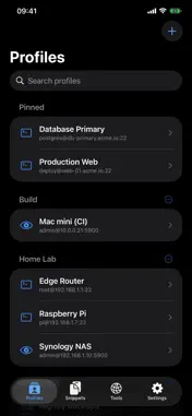 SSHive: SSH, SFTP & Terminal screenshot 1